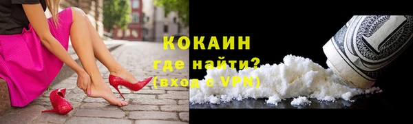 ешки Няндома