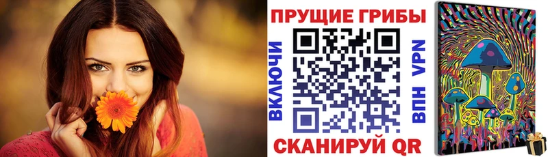 Галлюциногенные грибы мицелий Таганрог