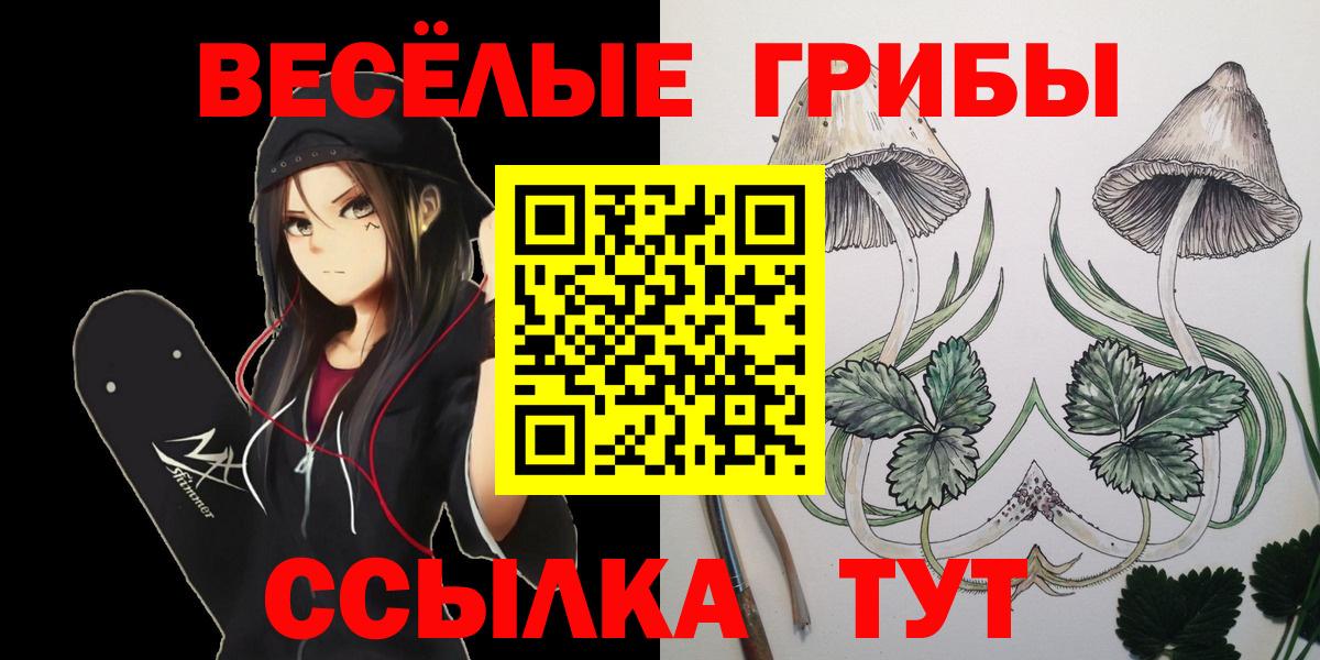 Таганрог  Псилоцибиновые грибы Cubensis  Галлюциногенные грибы Psilocybe  Вход с VPN 